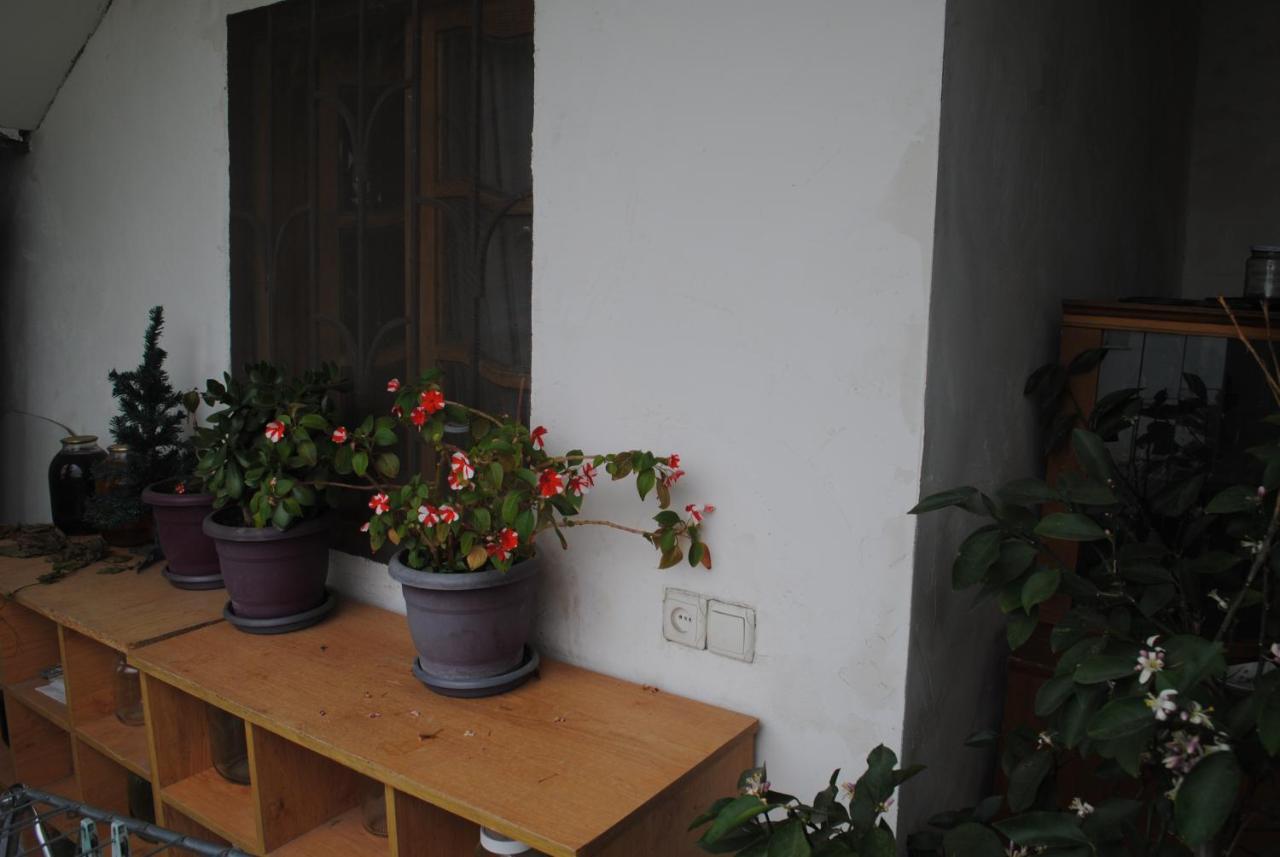 Family Guesthouse - Macharashvili Tbilisi Bagian luar foto